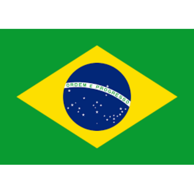 The Brazil Flag