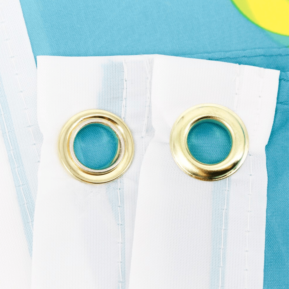 Kazakhstan Flag