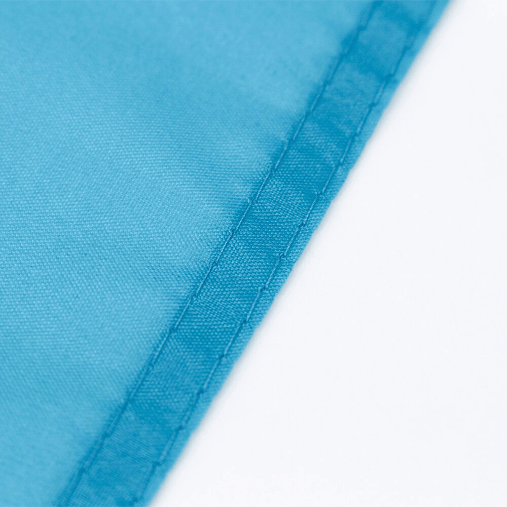 Kazakhstan Flag
