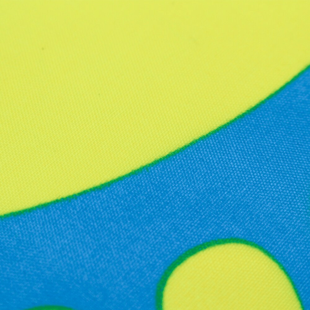 Kazakhstan Flag