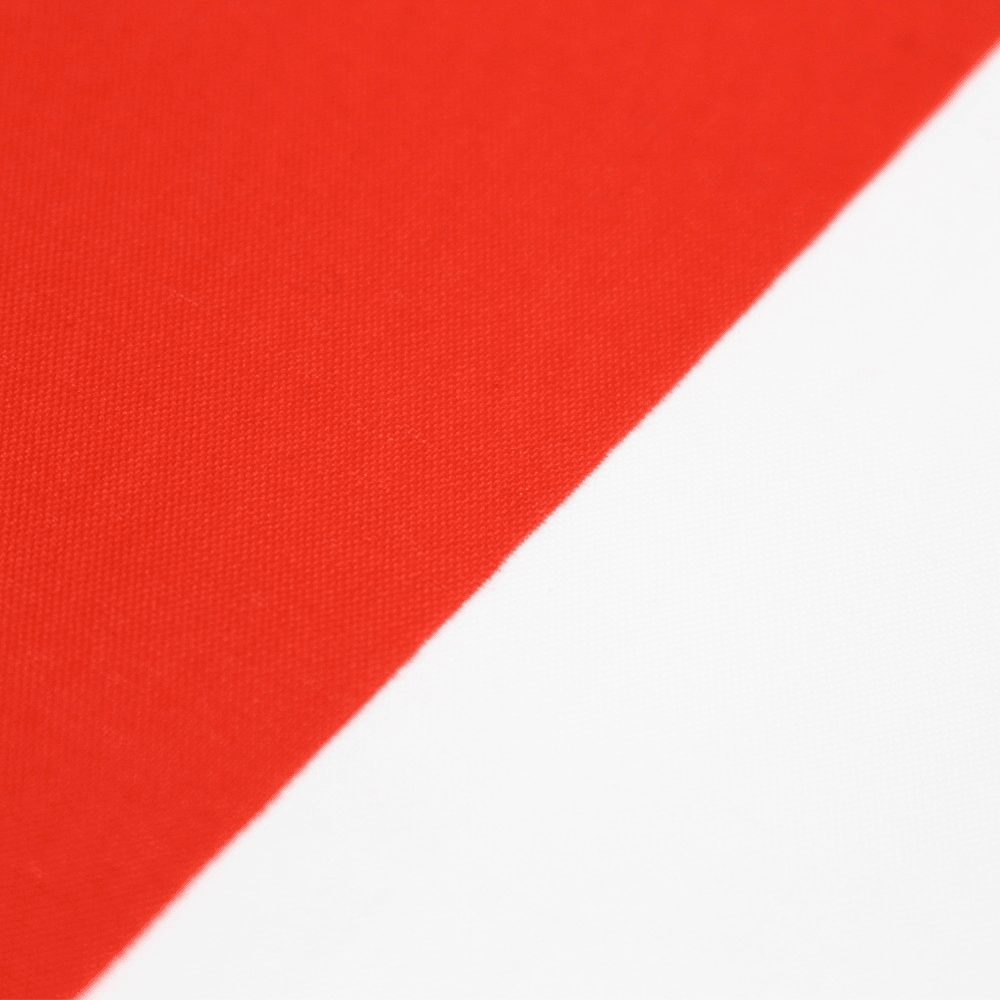 Monaco Flag Polyester Banner