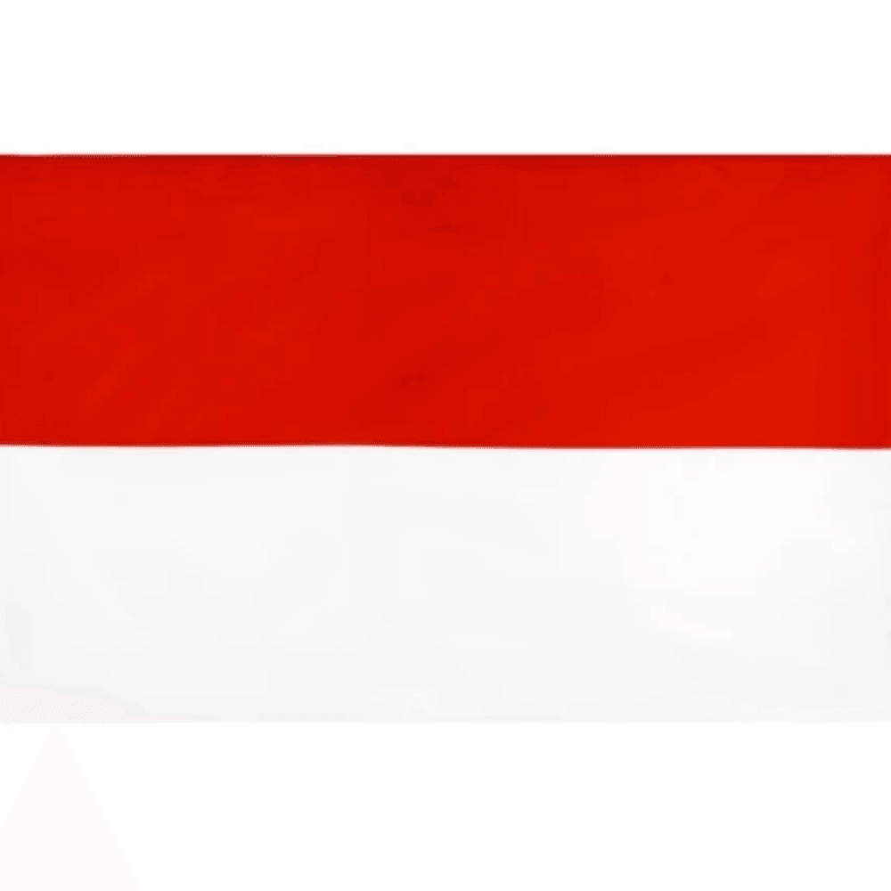 Monaco Flag Polyester Banner