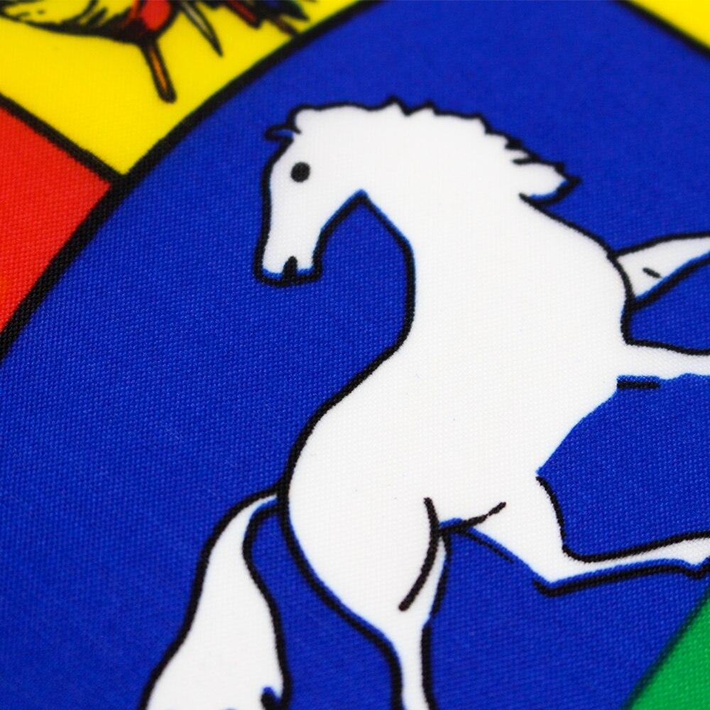 Venezuelan Display Flag Polyester