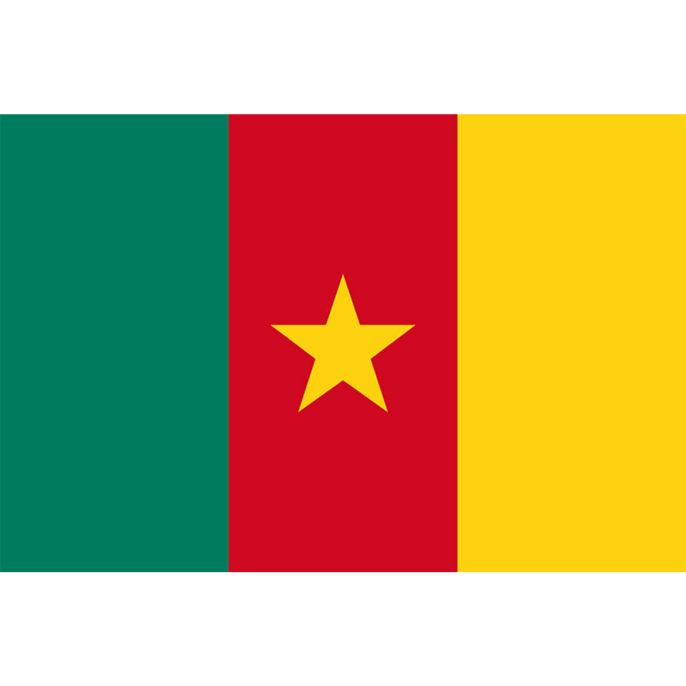 Cameroon Flag, Long Lasting Vivid Colors, 100% Polyester Cameroonian National Flag, 90X150cm