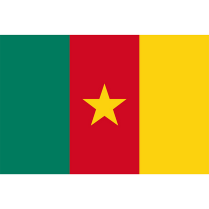 Cameroon Flag, Long Lasting Vivid Colors, 100% Polyester Cameroonian National Flag, 90X150cm