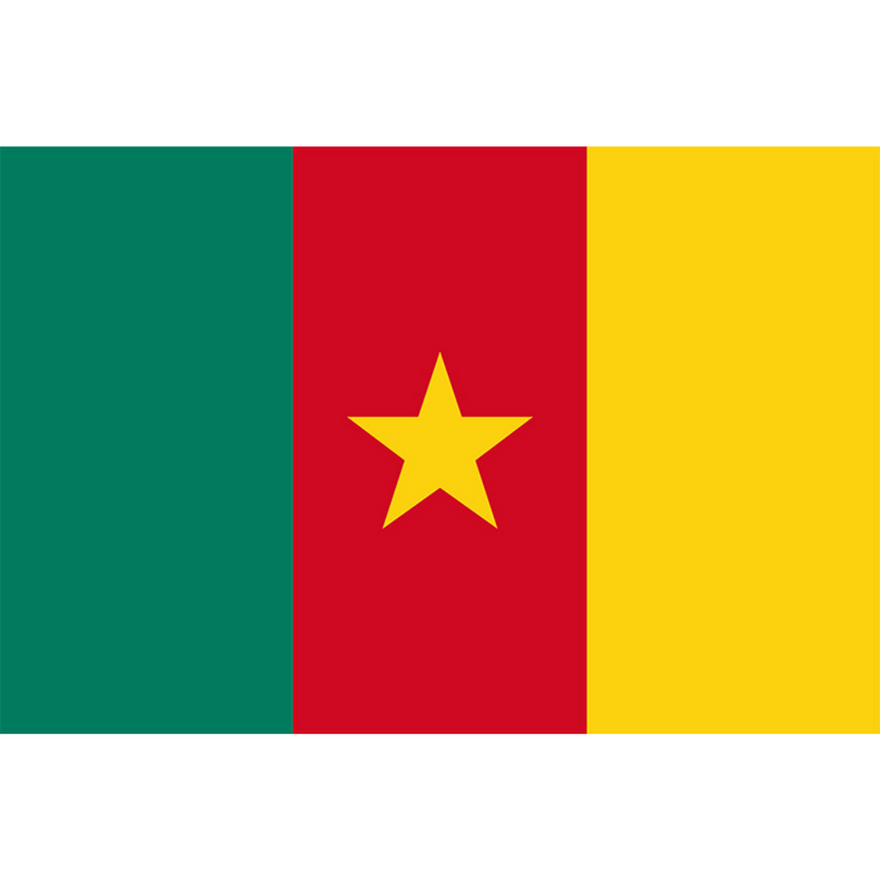 Cameroon Flag, Long Lasting Vivid Colors, 100% Polyester Cameroonian National Flag, 90X150cm