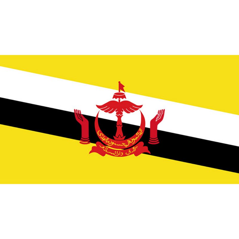 Brunei Flag, Countries and National Flags, Bruneian Flags Polyester Wrinkle Proof, Fade Proof 90X150cm