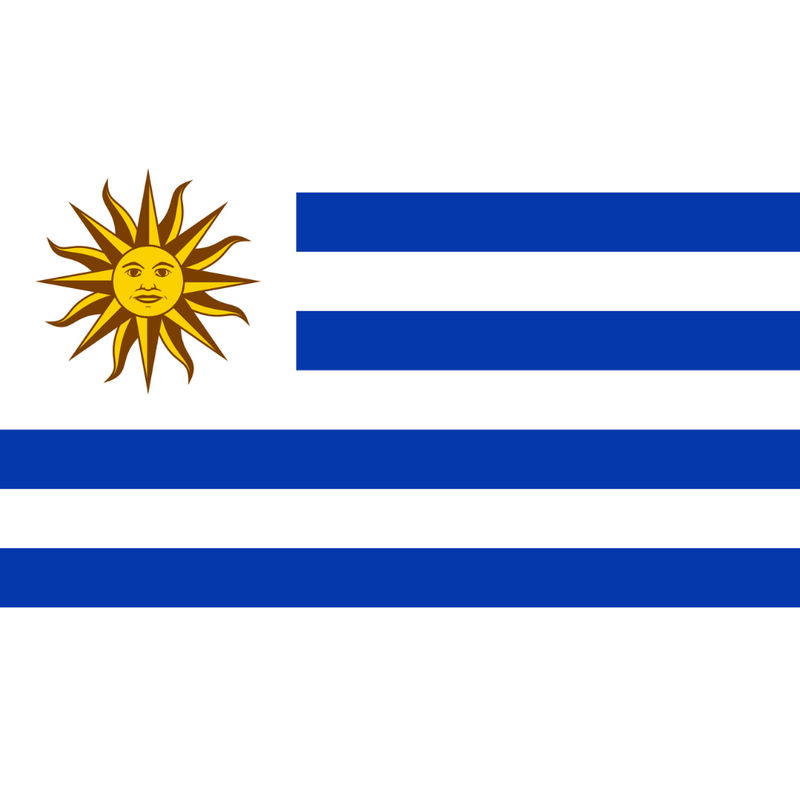 The Uruguay Flag