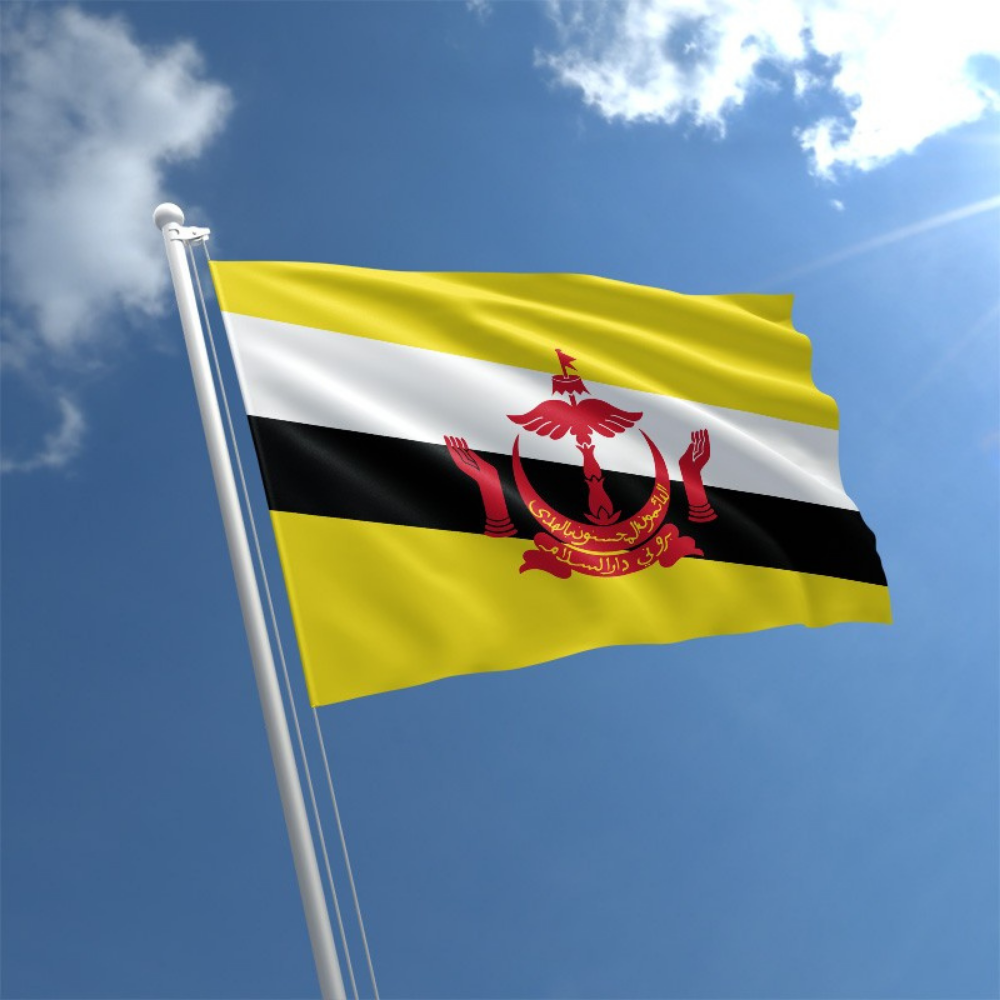 Brunei Flag, Countries and National Flags, Bruneian Flags Polyester Wrinkle Proof, Fade Proof 90X150cm