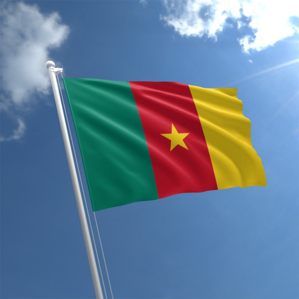 Cameroon Flag, Long Lasting Vivid Colors, 100% Polyester Cameroonian National Flag, 90X150cm