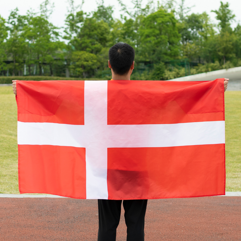 The Denmark Flag