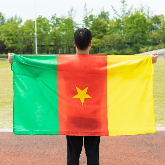 Cameroon World Cup Flag