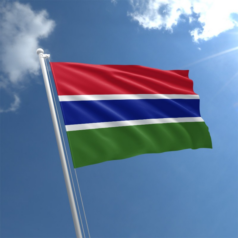 Gambian Flag
