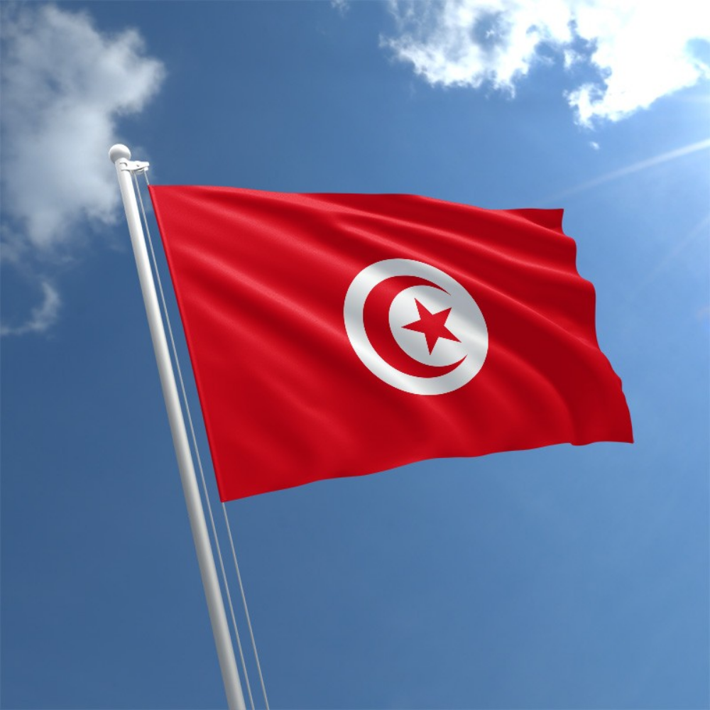 Tunisian Flag, National Flags Vivid Indoor Outdoor, Republic of Tunisia, Polyester 90X150cm