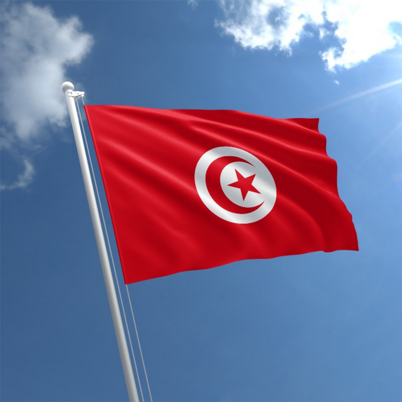 Tunisian Flag, National Flags Vivid Indoor Outdoor, Republic of Tunisia, Polyester 90X150cm