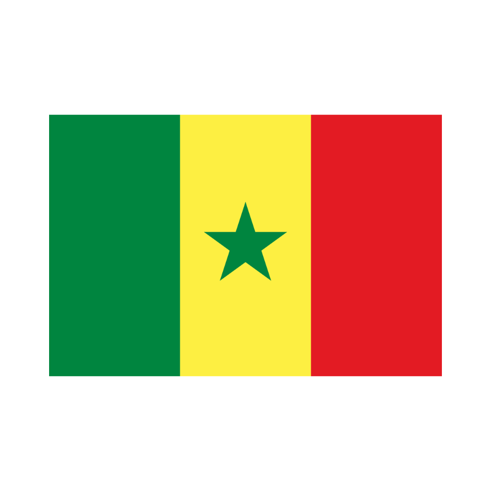 The Senegal Flag