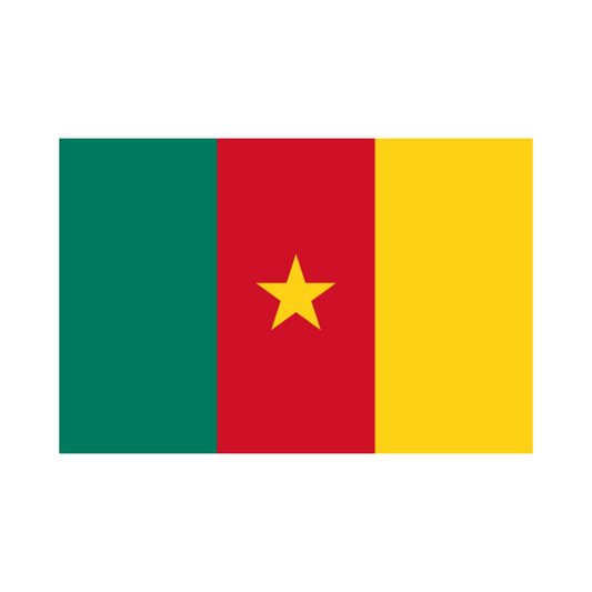 The Cameroon Flag