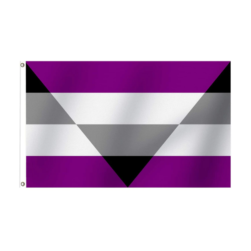 Aegosexual Pride Flag, Indoor or Outdoor Weather Resistant flag - Globe Flags