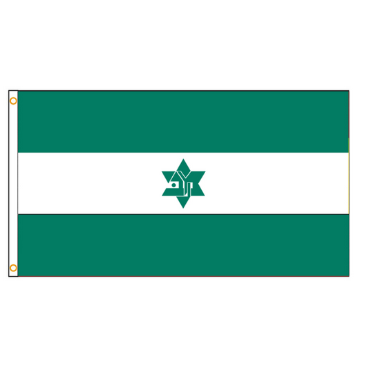 Maccabi World Union Flag