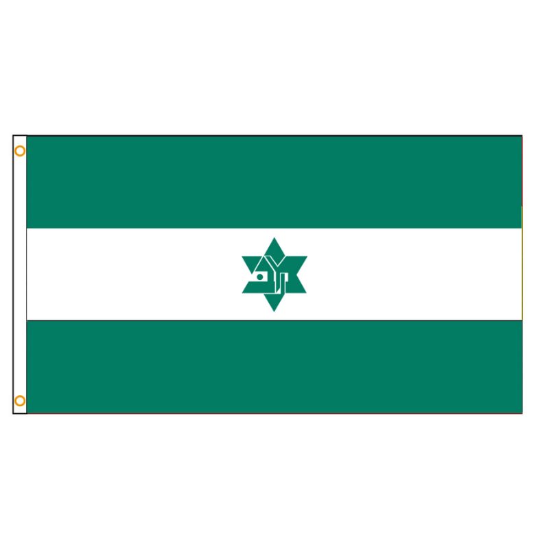 Maccabi World Union Flag