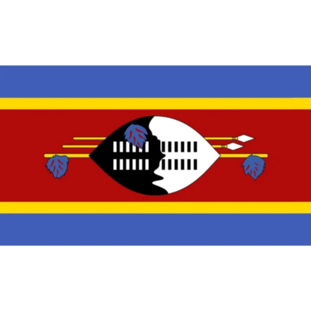 Swaziland Flag, Countries and Flags Eswatini, Polyester Double Stitched Durable 90X150cm
