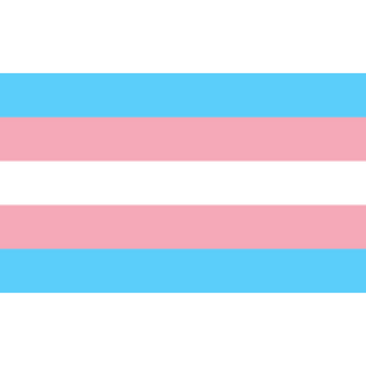 Transgender Pride Flag