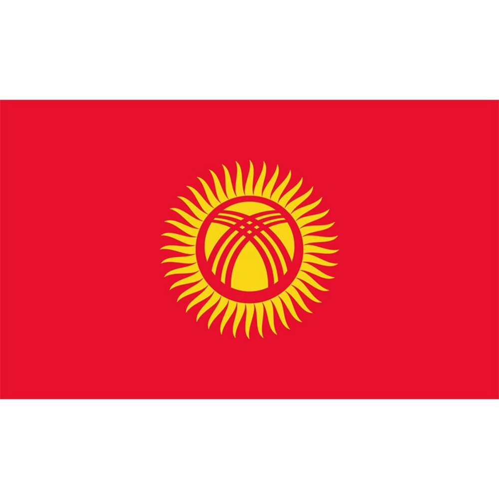 Kyrgyzstan Flag, Country Flags, Bright Red, Indoor/Outdoor, Polyester, 90X150cm