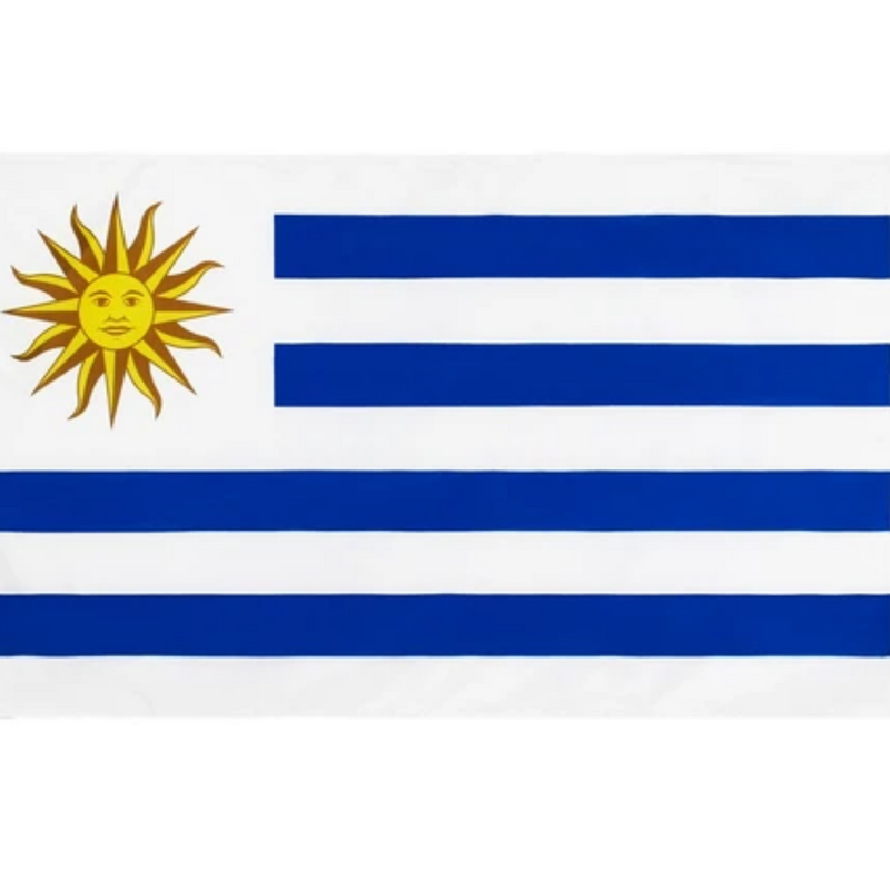 Uruguay Flag, Polyester Double Stitched Durable Country Flags, Oriental Republic of Uruguay 90X150cm