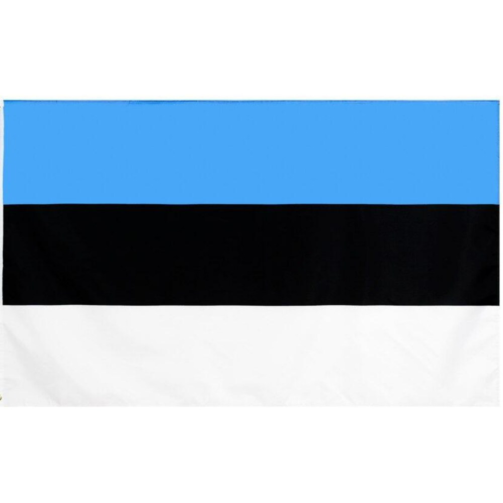 Estonian Flag, Country Flags, National Flags, Durable, tricolor, 100% Polyester, 90X150 cm