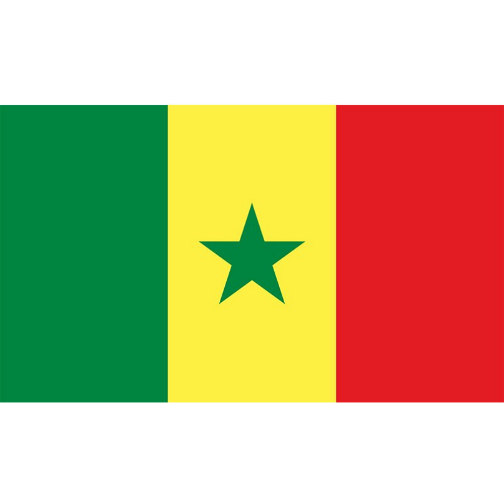 Senegal Flag, West Africa Country Flags, Indoor Outdoor Durable Double Stitched 90X150cm