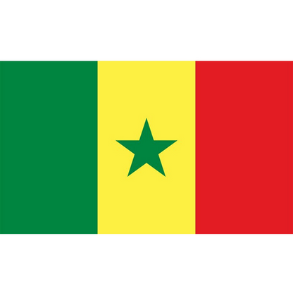 Senegal Flag, West Africa Country Flags, Indoor Outdoor Durable Double Stitched 90X150cm