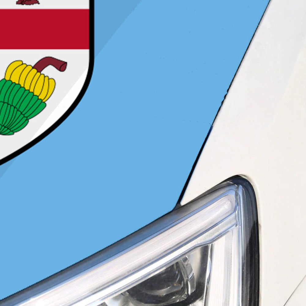 Fiji Car Hood Cover Flag