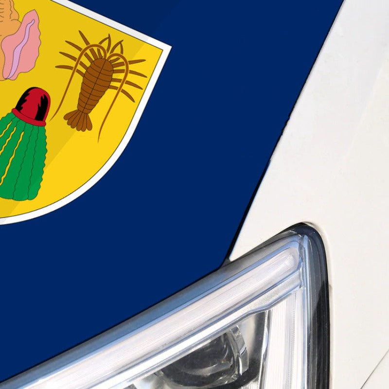 Turks And Caicos Islands Car Hood Cover Flag