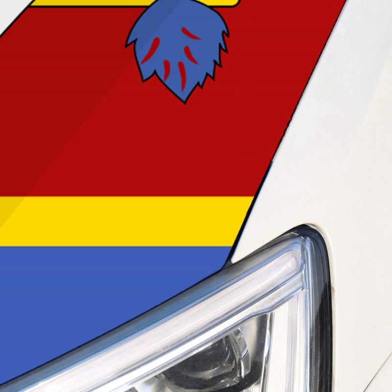 Swaziland Car Hood Cover Flag