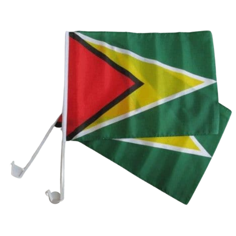 Guyana Car Window Mounted Flag